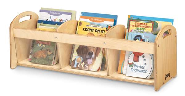 Book Storage Cabinet with Transparent Panels