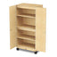 Secure and functional storage cabinet